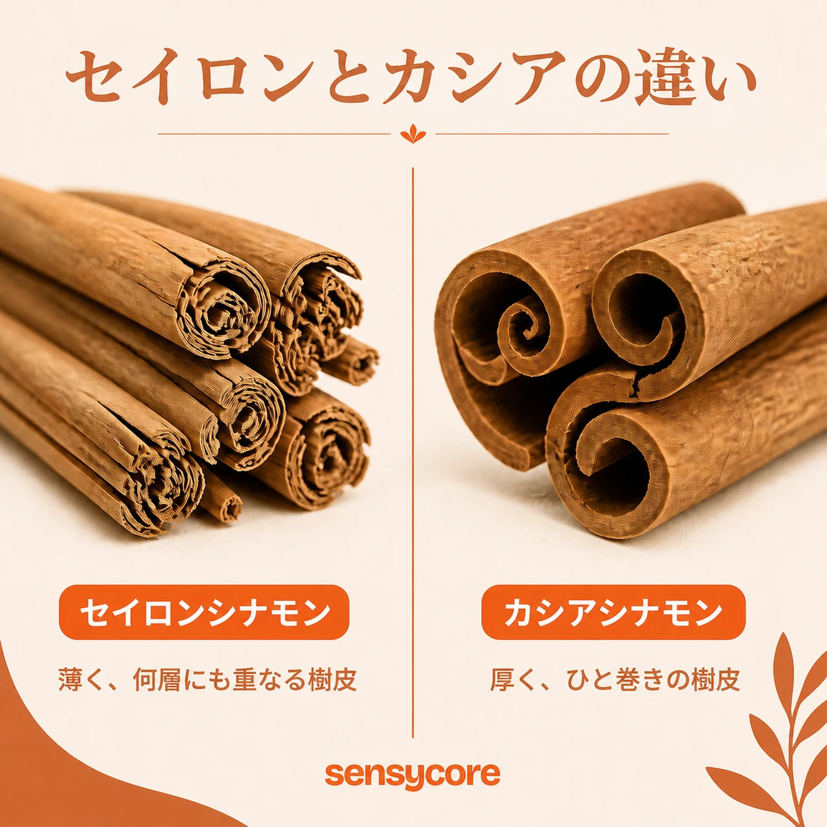 Sensycore セイロンシナモン